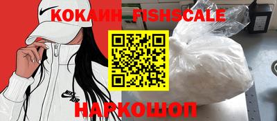 стафф Камышлов