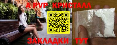 стафф Камышлов