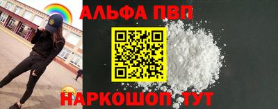 стафф Камышлов