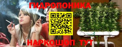 стафф Камышлов