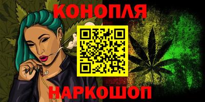 стафф Камышлов