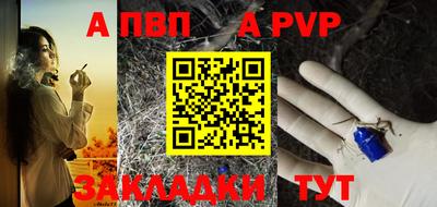 стафф Камышлов
