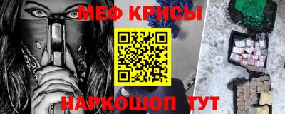 стафф Камышлов