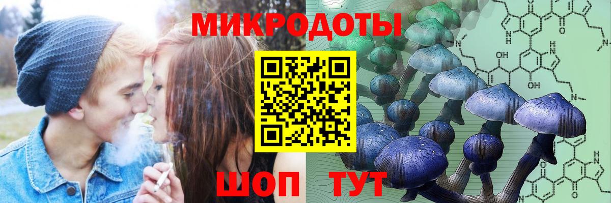 Псилоцибиновые грибы Psilocybe  Псилоцибиновые грибы прущие грибы  Вход с VPN  Красный Сулин 